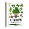 野菜图鉴 商品缩略图0