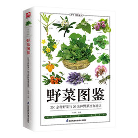 野菜图鉴