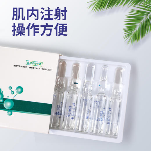【买5送1】华畜兽用 安乃近注射液10支 麻疹红斑 解热镇痛 关节肿大 止痛退烧 马牛羊猪药 商品图1