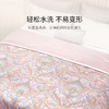 【ROYALCOVER】罗卡芙 亲肤新雪丽银纤维夏被 露西安 商品缩略图2