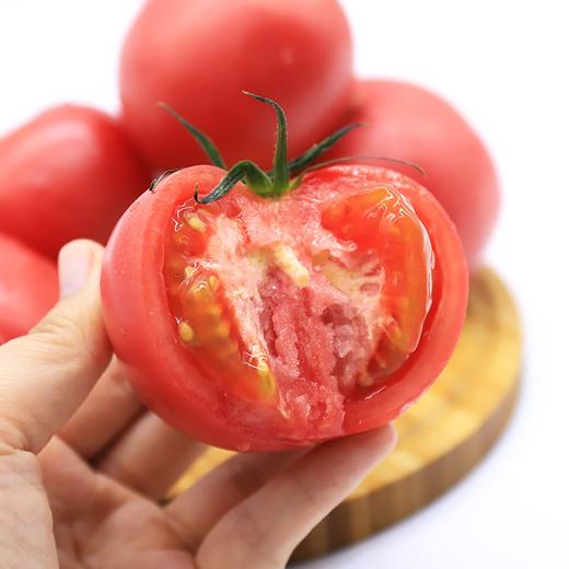 棒享【国货之光粉番茄】绿行者桃太郎番茄 5斤装 沙瓤有籽 肉质细腻 新鲜自然熟 商品图0