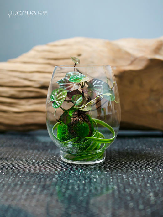 新中式酒店餐厅玄关玻璃花瓶仿真花假花客厅摆设插花花艺装饰摆件 商品图4