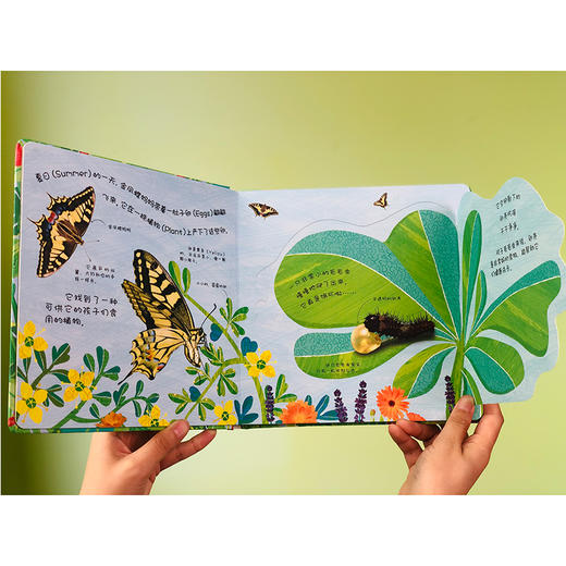 【可点读】【阳光博客】DK经典成长小百科 商品图2