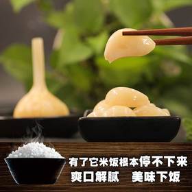 【东北正宗甜蒜 】大蒜头糖蒜  酸甜脆嫩  爽口个大  配烤肉米饭粥水饺 500g*2袋