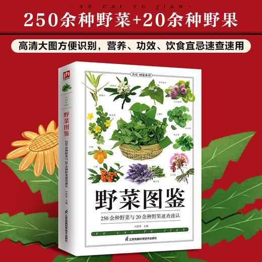 野菜图鉴 商品图1