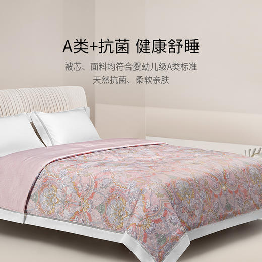【ROYALCOVER】罗卡芙 亲肤新雪丽银纤维夏被 露西安 商品图0