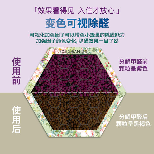 CoClean清蜓长效除甲醛小蜂巢-DF100H 商品图4