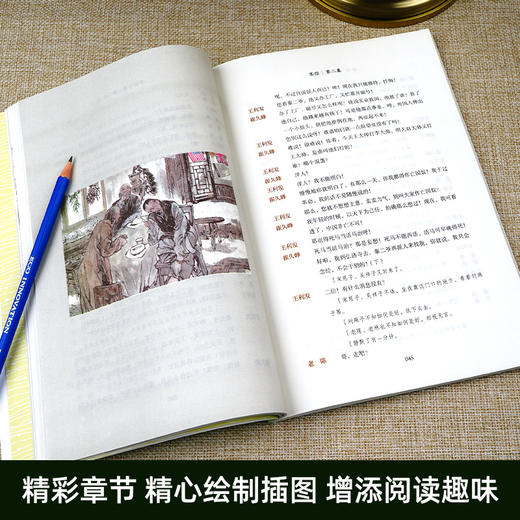 茶馆 原著正版无删减名著阅读高中语文高一高二高三学生课外阅读书籍经典名著阅读课程化丛书 智慧熊南方出版社 商品图1
