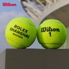 Wilson 上海劳力士大师赛官方指定比赛网球 多场地通用（3粒装） 商品缩略图2