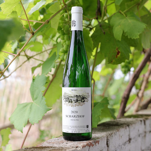 伊慕施华格雷司令白葡萄酒（半甜） 商品图0