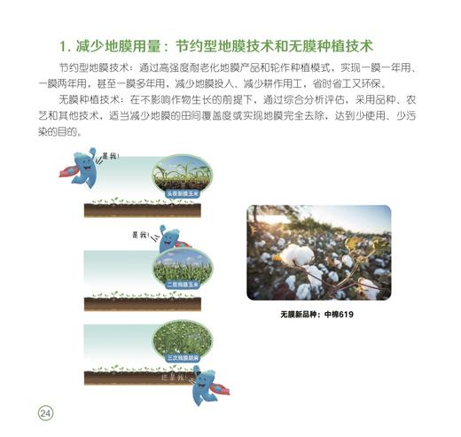 图说残膜机械化回收技术漫谈 商品图5