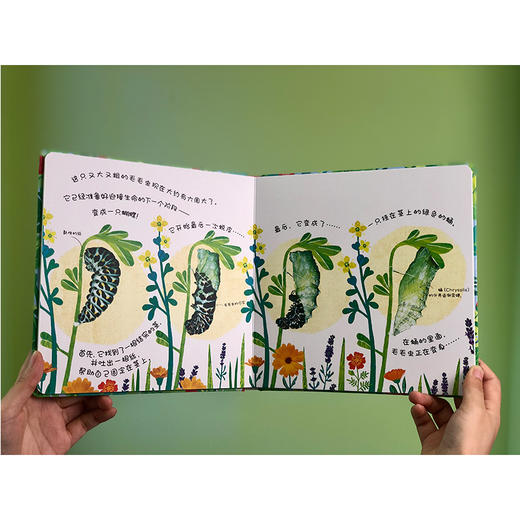 【可点读】【阳光博客】DK经典成长小百科 商品图1