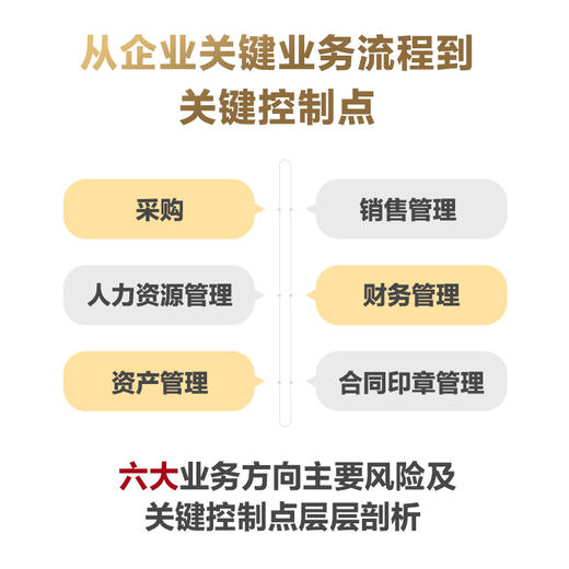 手把手教你做内部控制：全流程主要风险及关键控制点 商品图5