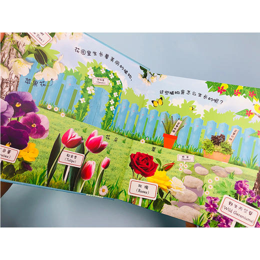 【可点读】【阳光博客】DK经典成长小百科 商品图5