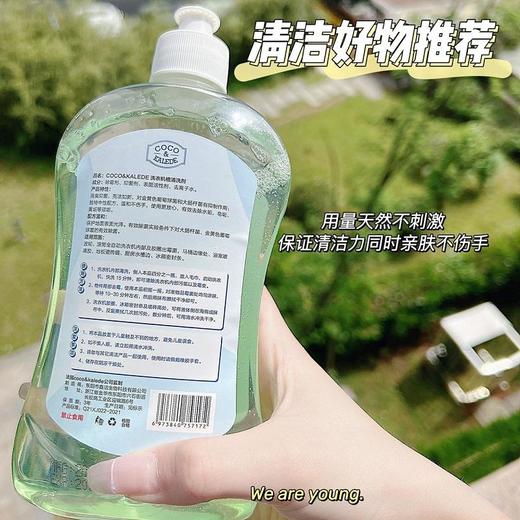 网红新款COCO洗衣机槽清洗剂滚筒波轮式洁净液除霉祛污渍神器500ml/瓶 商品图4