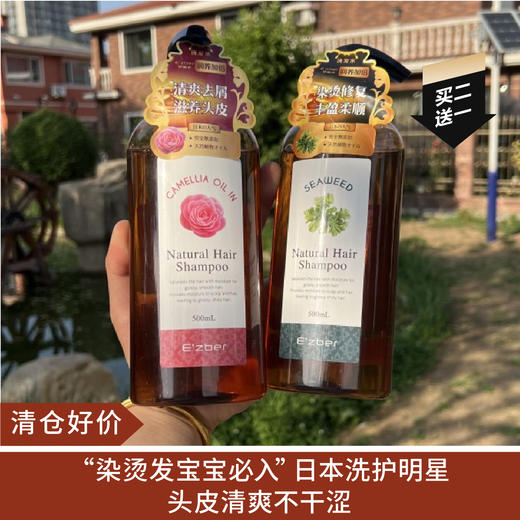 【清仓好价|买二送一】伊值贝无硅油山茶油滋养洗发水500ml/海藻修复柔顺洗发水500ml 商品图0