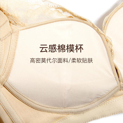 【满3件/59元】【70A】【A杯70码】【秀黛】甜蜜沙洲无钢圈加厚杯文胸E5113054A【专柜同款】【如遇缺货自动退款，介意勿拍】 商品图2