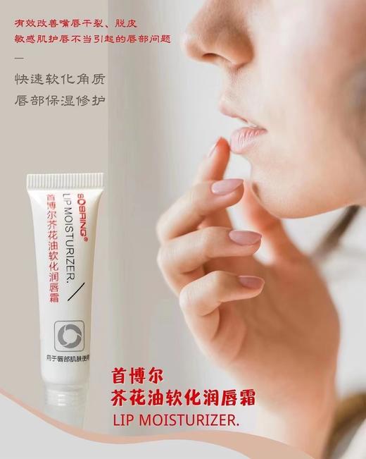 首博尔芥花油软化唇膏 商品图1