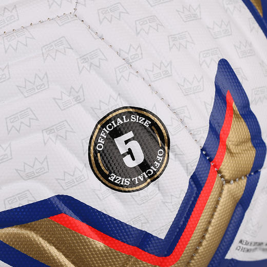 NIKE/耐克 PL NK ACADEMY - FA22 英超比赛足球DN3604102 商品图5