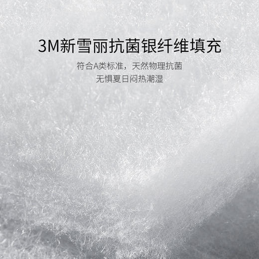 【ROYALCOVER】罗卡芙 亲肤新雪丽银纤维夏被 露西安 商品图3