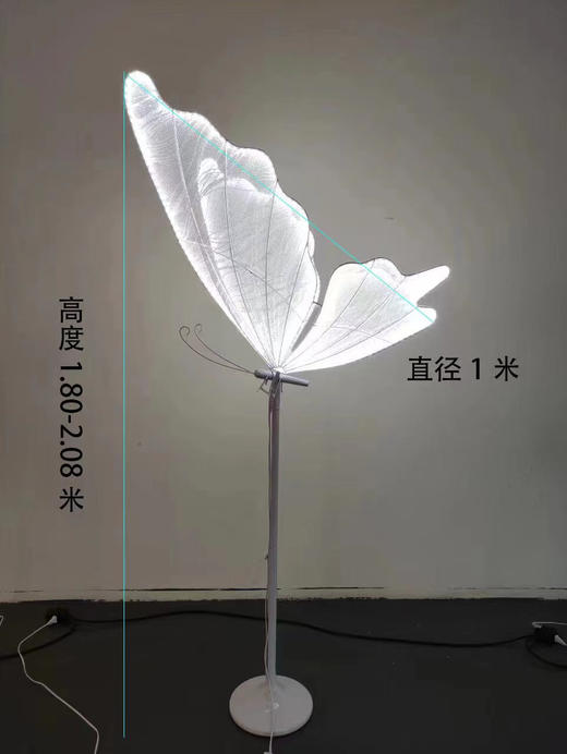 特价蝴蝶路引（运费自理） 商品图2