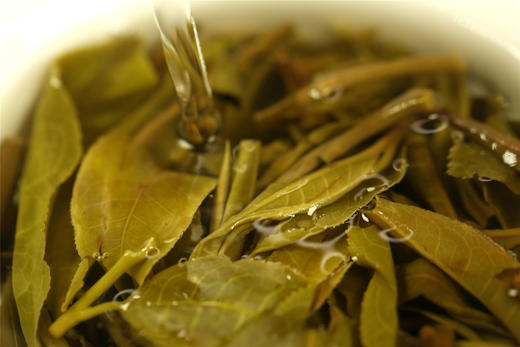 气势凛然 野性之感 | 携谁隐·布朗早春（2022） 商品图13