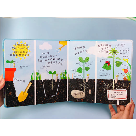 【可点读】【阳光博客】DK经典成长小百科 商品图4