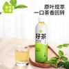 奈雪的茶茉莉初雪花茶500ml 商品缩略图1