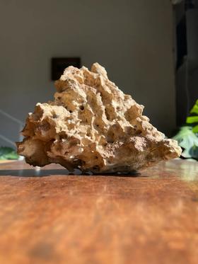 深海礁石山子摆件，顺丰包邮