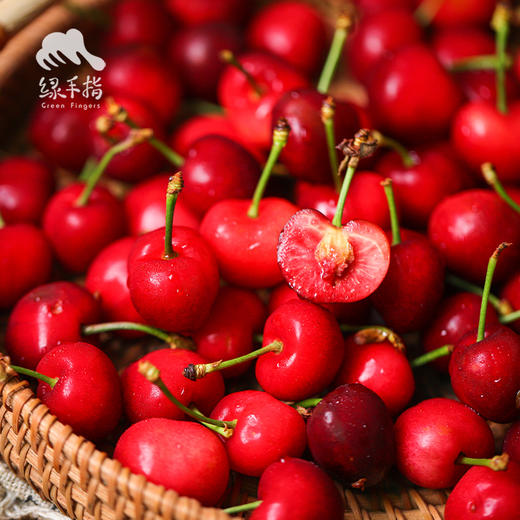 生态四川小金樱桃 |合作生产* Ecological  cherry ｜Coproducted 商品图0