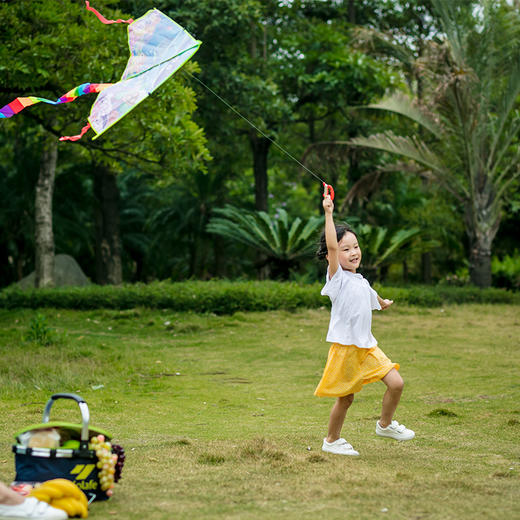 悠莱弗多彩风筝（中号）（2个）KS7301 商品图5