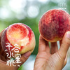 【新鲜水果】平谷水蜜桃 商品缩略图1