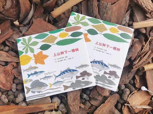 上山种下一棵树 商品图4