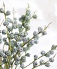 吉祥果（5枝） 商品缩略图2