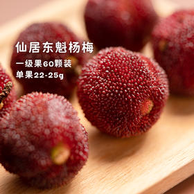 今年的东魁杨梅要熟啦！超新鲜的酸甜小炸弹