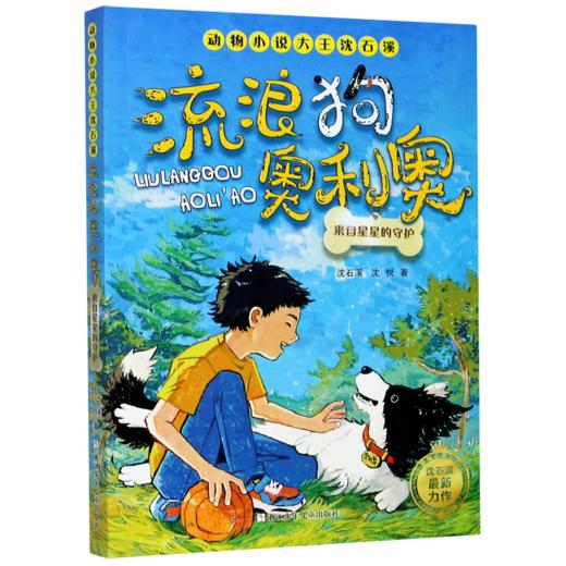 流浪狗奥利奥(来自星星的守护)/动物小说大王沈石溪 商品图0