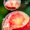 【新鲜水果】平谷水蜜桃 商品缩略图2