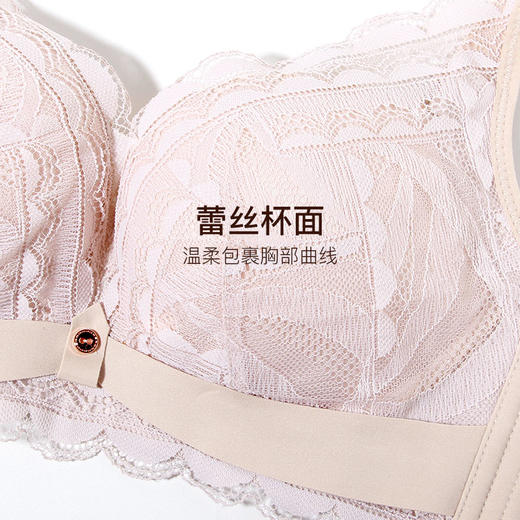 【满3件/59元】【75B】【通用杯单件】微光海洋无钢圈中厚杯文胸E5110022T【门店同款】 商品图3