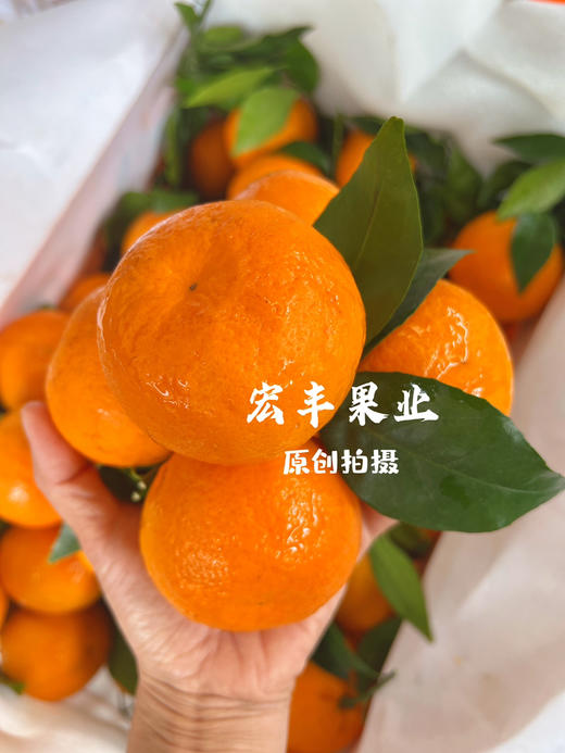【宏丰精选 】沃柑  肉质脆嫩 水分足 活动价4.8元一斤 商品图4