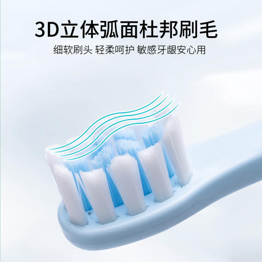 德国铂瑞 马卡龙情侣电动牙刷 BR-Z5 商品图5