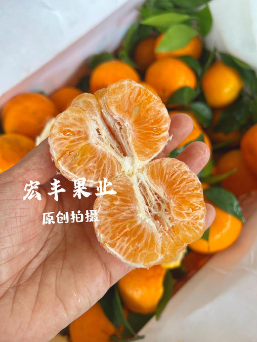 【宏丰精选 】沃柑  肉质脆嫩 水分足 活动价4.8元一斤 商品图5