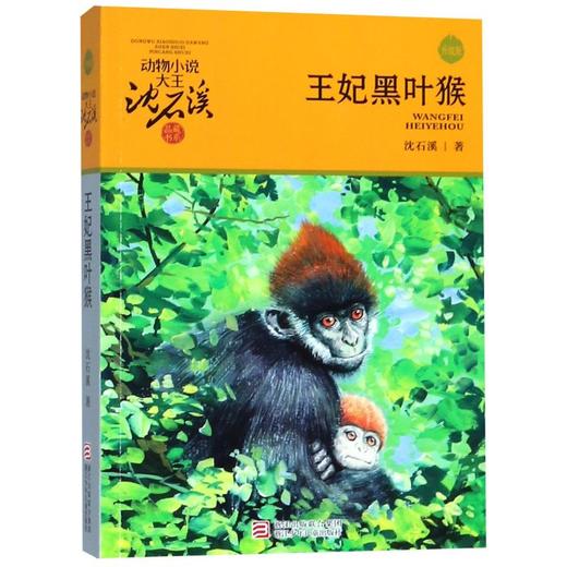 王妃黑叶猴(升级版)/动物小说大王沈石溪品藏书系 商品图0