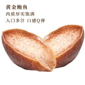 黄金鲍鱼（塞内加尔冻宽口涡螺肉）2只装（单只160-180g）