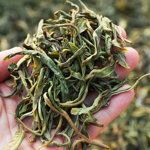 2022新茶春茶贺开古树茶龙须贡饼普洱茶生茶饼云南七子饼357g 商品图7