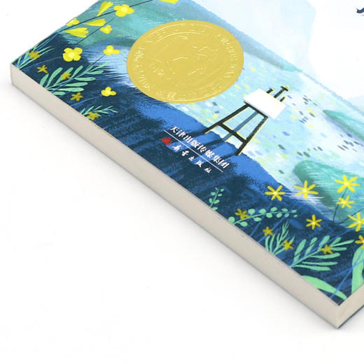 小河男孩(成长版)/国际大奖小说 商品图2