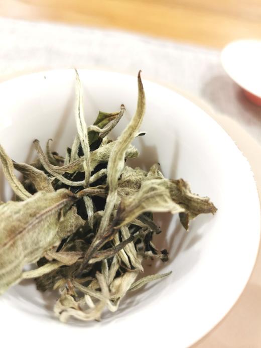 月光白散茶 早春 350克/400克箱 花香好 商品图4