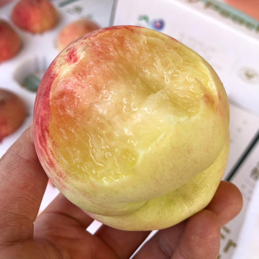 【龙泉驿 水蜜桃】四川龙泉驿主产区，正宗龙泉驿水蜜桃，硬吃脆甜，软吃蜜甜多汁，桃味浓！ 商品图10