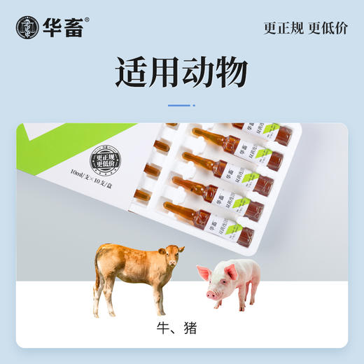 【积分兑换】华畜双黄连注射液 主治外感风热 肺热咳喘 猪牛羊用 商品图2