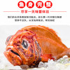 野生长寿鱼（大西洋胸棘鲷）（整条）1.3-1.55kg/条（新西兰） 商品缩略图1