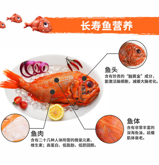 野生长寿鱼（大西洋胸棘鲷）（整条）1.3-1.55kg/条（新西兰） 商品图2